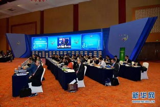 世界500强高管 头脑风暴 ,给重庆支了什么大招
